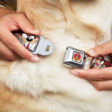 Нашийник для собак Buckle-Down Looney Tunes, білий, 22,9–38,1 см, логотип
