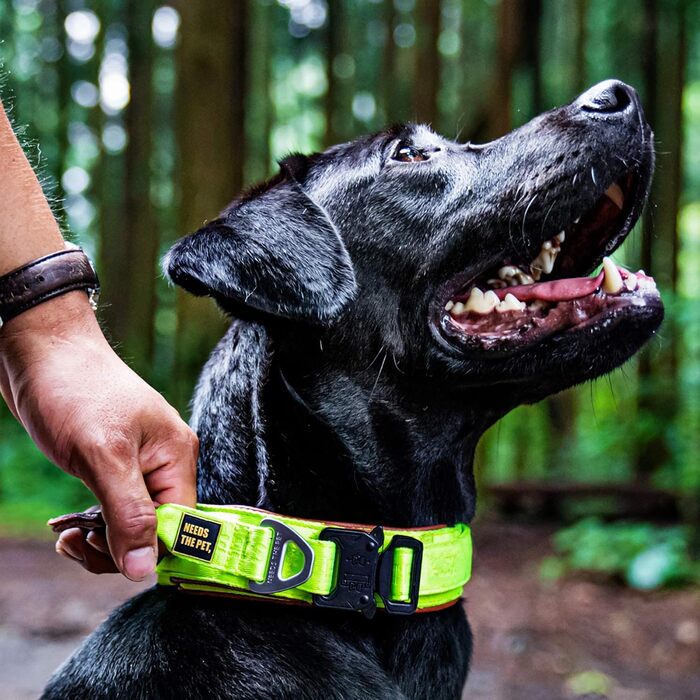 Нашийник Comfort Collar для великих собак, м'яка теляча шкіра, з підкладкою, світловідбиваючий, металева пряжка, зручна ручка, розмір S, неоново-жовтий