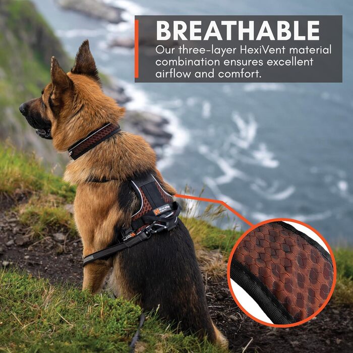 Шлейка для собак Non-Stop Dogwear Rock Harness, розмір M, чорна