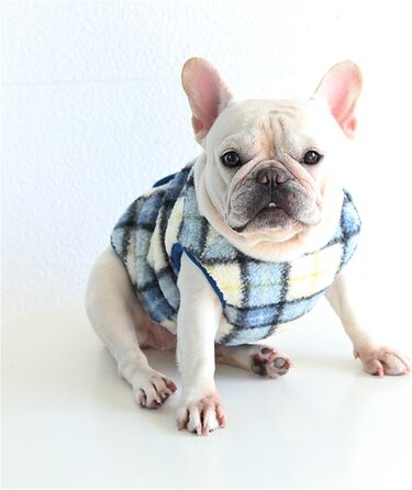 Теплий флісовий теплий одяг для собак великих порід, таких як Французький бульдог, Коргі, Мопс, Бульдог, Бультер'єр, Шіба та інші - зимова куртка, колір блакитний, розмір L: обхват грудей 58-64 см, блакитний