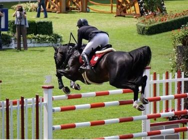 Наїзницька батогом для коней Jump Bat 18 дюймів з декором зі стразів. Кольори: чорний, синій, зелений, фуксія, рожевий, фіолетовий, червоний, жовтий