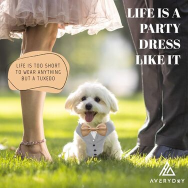Smoking для собак AVERYDAY: елегантний костюм для свят та фотосесій, з краваткою, для середніх та великих собак (S, сірий + шампань)