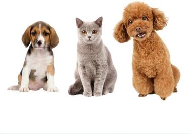 Ножиці для грумінгу собак Milageto - вигнуті ножиці для стрижки та фінальної обробки, 6,5 дюймів