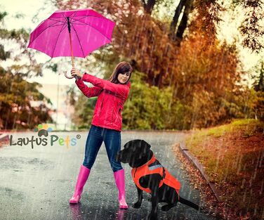 Водонепроникний дощовик для собак Autus Pets, світловідбиваючий, з отвором для шлейки (Оранжевий, S)