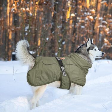 Зимовий одяг для собак FeimaX: теплий, вітронепроникний зимовий одяг для середніх та великих собак. Відображаючий, регульований жилет для тварин з кільцем D (зелений, 6XL)