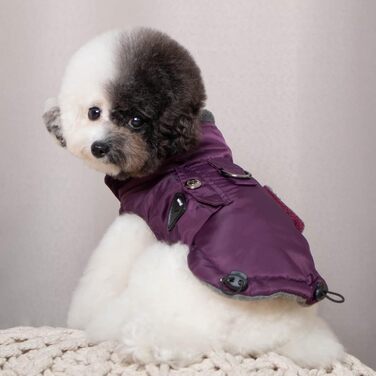 Пупа - теплий та зручний зимовий одяг для собак (Lila, L)
