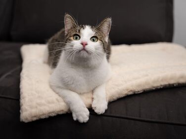 TrendPet Heaven двостороння утеплена лежанка для собак і котів, 4 см, бежевий колір