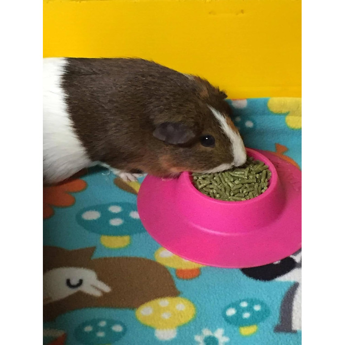 STAYbowl Futternapf: годівниця для морських свинок та інших дрібних домашніх тварин, ергономічна, 60 мл, рожева