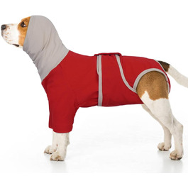 колір: гниль