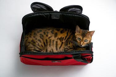 Переноска для тварин Sleepypod Atom для подорожей та авіаперельотів, червона, 1 шт.