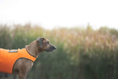 Одяг для собак Julius-K9 IDC Neopren, M, оранжево-чорний