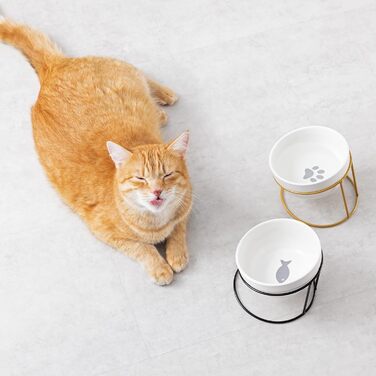 Набір мисок для тварин Navaris (2 шт) з металевим підставкою: для котів та собак, миється в посудомийній машині, нахилена миска, золото/чорний