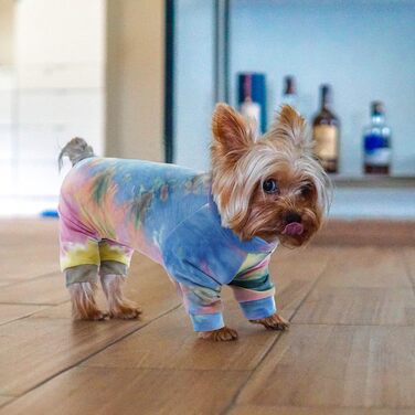 Зимовий теплий жилет для собак, куртка-комбінезон на 4 лапи, вітронепроникний одяг для собак, жилет, куртка, одяг для собак, сорочка для маленьких, середніх та великих собак (Райдуга, M)