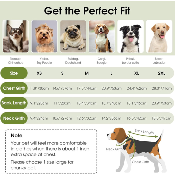 Теплий пуловер для собак Queenmore: Дакель, Французький бульдог, Бігль, Шнауцер (зелений, M)