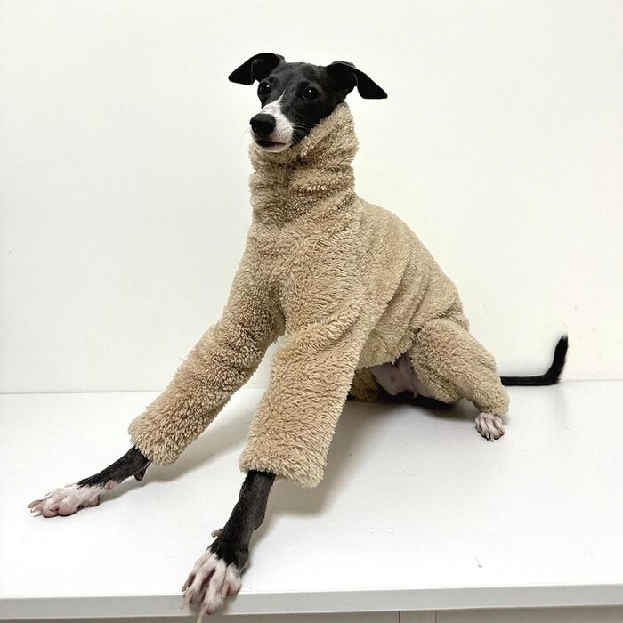 Теплий флісовий комбінезон для собак - теплий спальник для італійських грейхаундів, маленьких, середніх та великих собак (колір: коричневий)