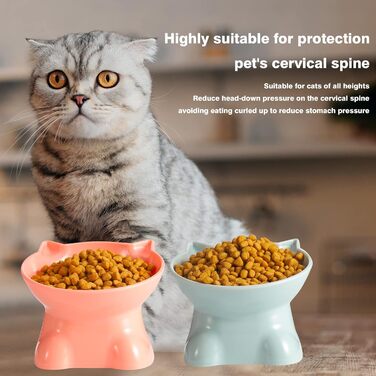 Підвищений годівниця для котів, підставка для мисок, нахилена на 15°, антиблювотний годівник, захист шиї, для домашніх тварин