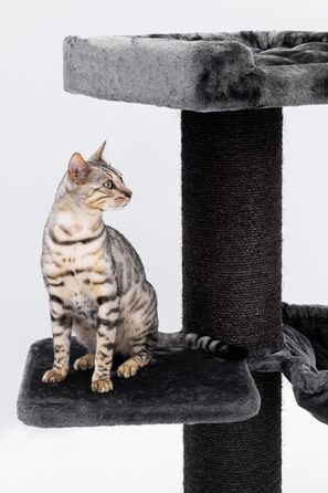 Когтеточка для великих котів Petrebels Maine Coon, 117 см, преміум-якість, стовпи Ø20 см, чорна