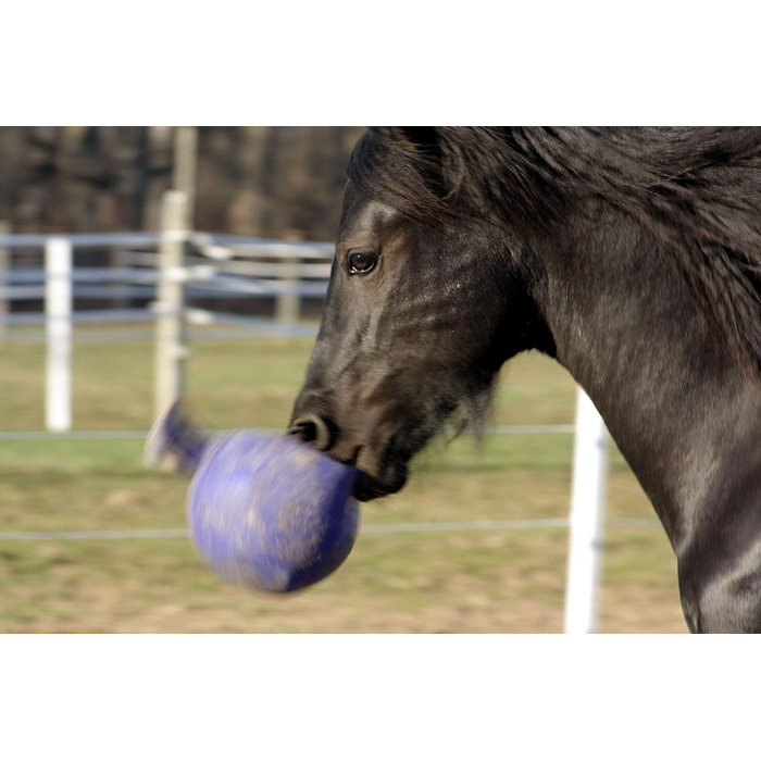 Іграшка м'яч для коней Horsemen Stolz Jolly Ball 25 см, фіолетовий, універсальний