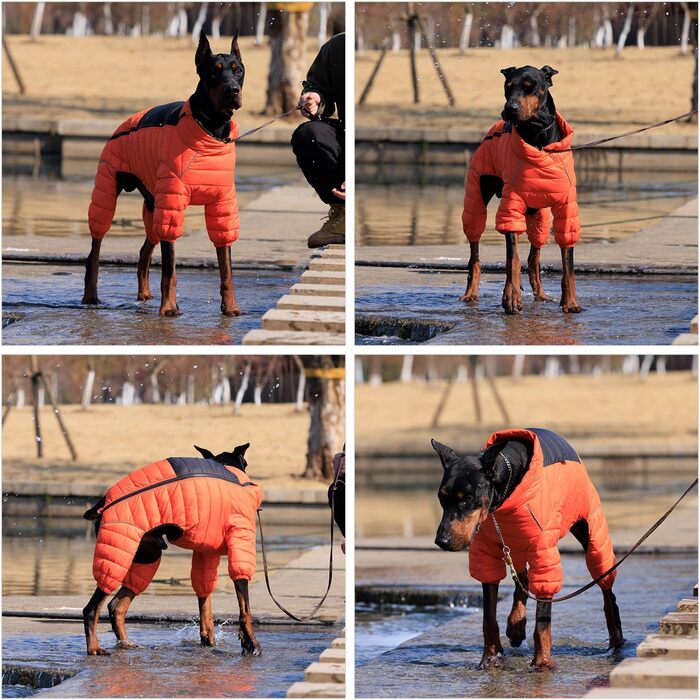Водонепроникний теплий одяг для собак: куртка, жилет, тепла сорочка для собак. Підходить для малих, середніх та великих собак. Оранжевий колір, розмір S