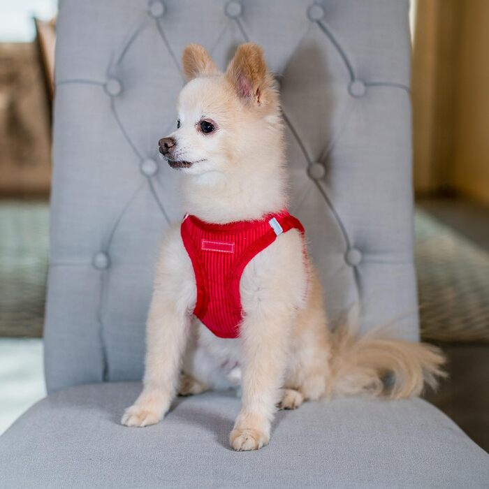 Нагрудник для собак Voyager Step-In Plüsch від Best Pet Supplies - м'який плюшевий нагрудник для собак маленьких та середніх порід, шоколадного кольору, розмір M (обхват грудей 40-45 см)