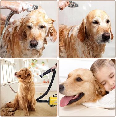 Професійний фен для собак 2800W, тихий, з 4 насадками та шлангом, для грумінгу