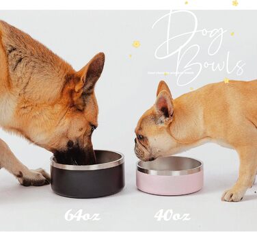 Набір мисок для собак IKITCHEN з нержавіючої сталі, подвійні стінки, ізольовані, чорні (1,2 л)