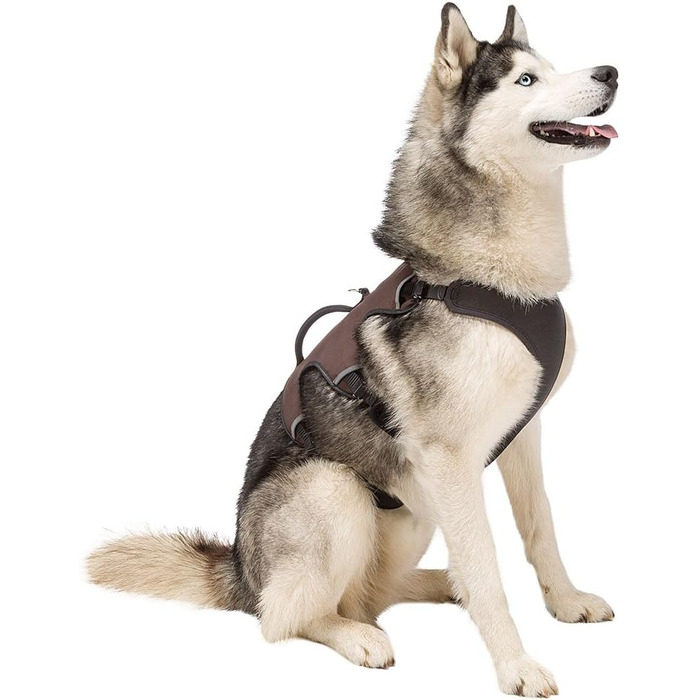 Шлейка для собак Ferplast ERGOTREKKING Large, чорна, велика, з 6 застібками, відбиваючими елементами та регулюванням, для грейхаундів