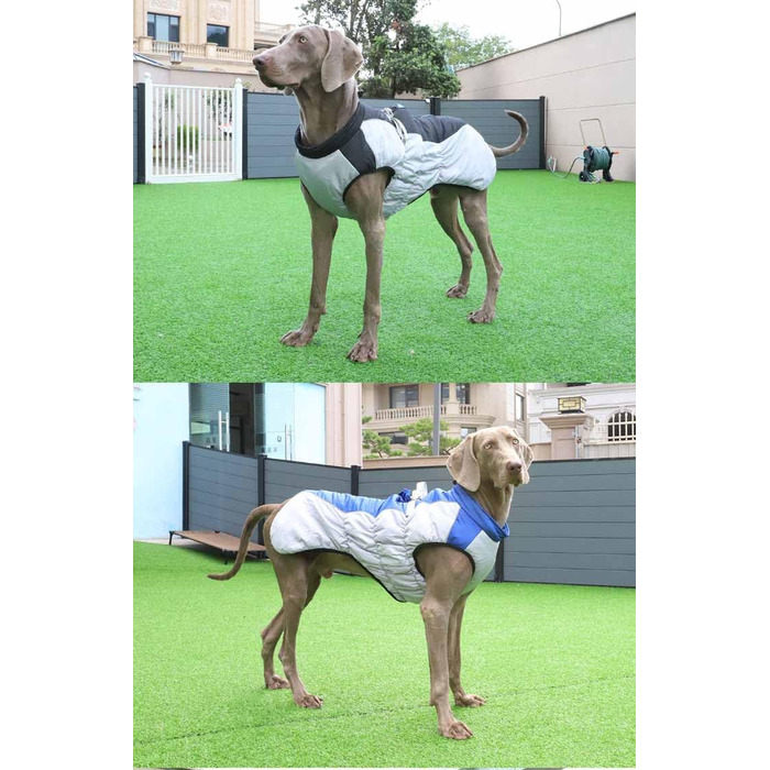 Зимова куртка для собак з металевою застібкою для повідка, водонепроникна, з наповнювачем, для великих собак (чорний, 4XL для 20-30 кг)