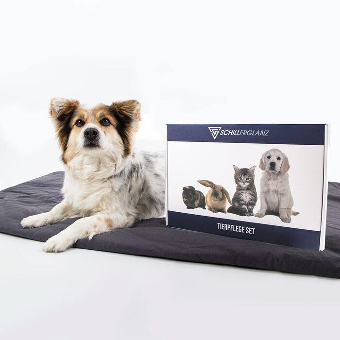 Набір для догляду за тваринами 7 предметів: щітка для шерсті, ножиці для шерсті, ножиці для кігтів, рукавичка для вичісування, щітка для ворсу, щипці для кліщів, для собак, котів, дрібних тварин