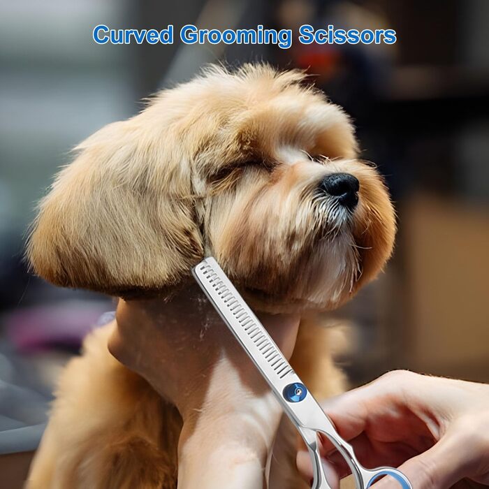 Набір професійних ножиць для собак 7 в 1 з нержавіючої сталі, з безпечними закругленими кінчиками. Включає ножиці для вирівнювання, вигнуті та прямі ножиці, гребінець для грумінгу. Підходить для собак, котів та інших тварин