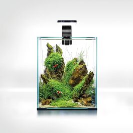 Акваріумний набір Aquael Shrimp Set SMART D&N 20 л чорний ECOM для креветок