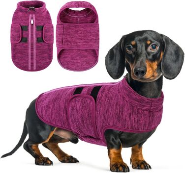 Теплий зимовий одяг для собак: флісовий пуловер та куртка Queenmore для дрібних порід (Даксель, Чихуахуа, Бульдог)