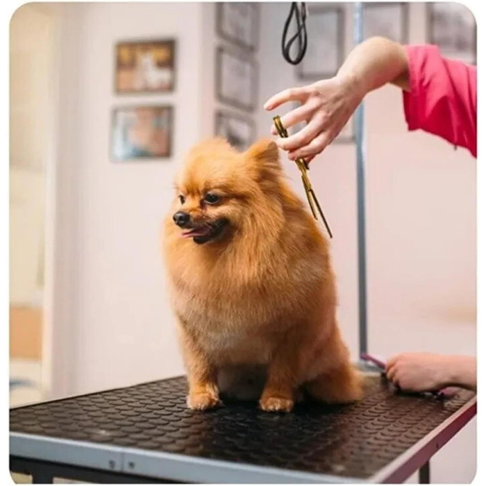 Професійна ножиця для грумінгу собак 7,5 дюймів: набір для догляду за собаками (вигнута, пряма, розріджуюча)