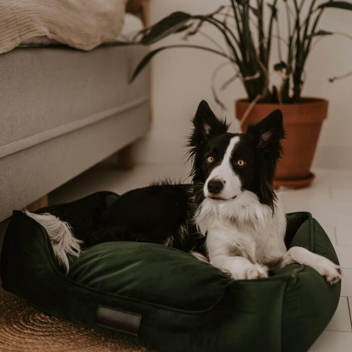 Ліжко District 70 VELURO Box - сірий колір, розмір S - ліжко з ящиком, сіре, S