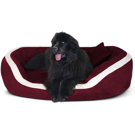 колір: 04 бордо