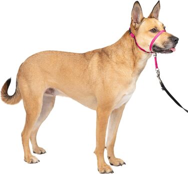 Нашийник для дресирування PetSafe Sanfter Führer Medium (25-60 кг) з DVD