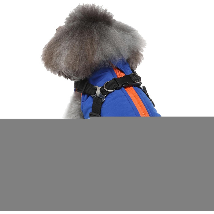 Водонепроникна куртка для собак з шлейкою та D-посиланнями, тепла зимова куртка для собак, Wepen, блакитна, розмір S