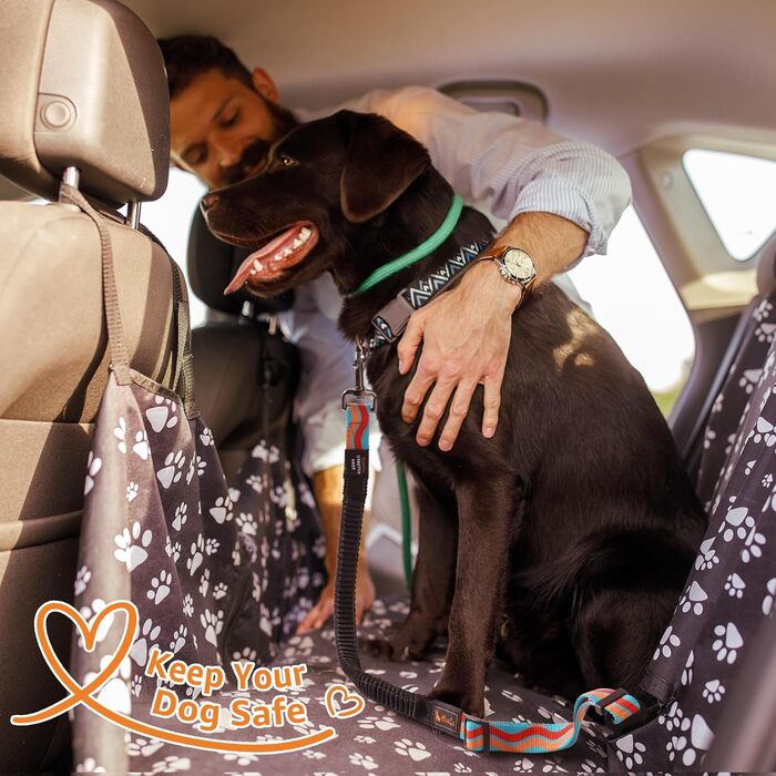 Автомобільний ремінь безпеки для собак AYADA: еластичний, регульований, з відбивачем, нейлон. Підходить для собак та котів, для заднього сидіння, безпечний, з карабіном.