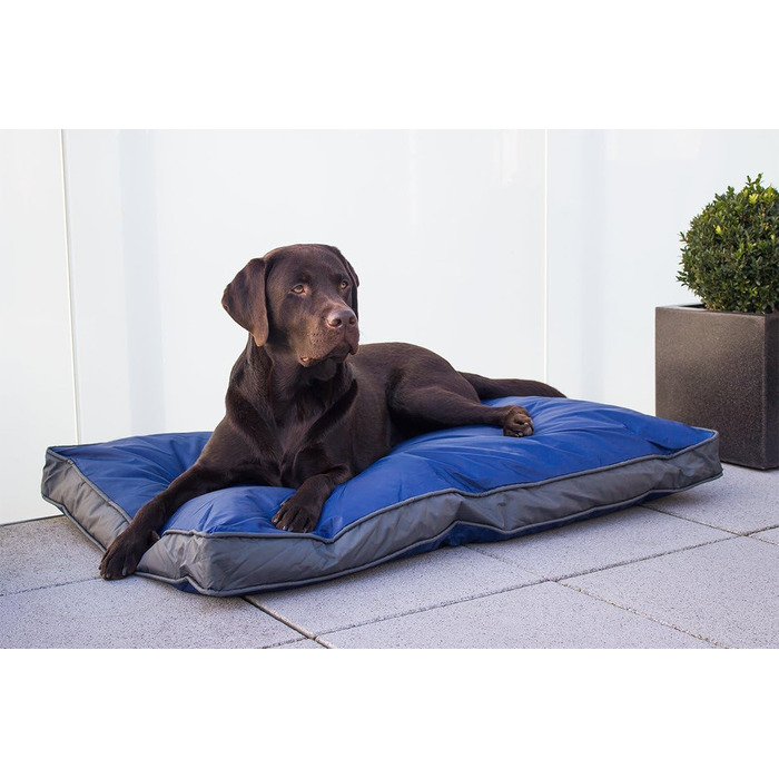 Килимок для собак на вулицю 105 x 67 см, блакитний, міцний та водонепроникний. Зручне ліжко для собак, килимок для відпочинку на відкритому повітрі