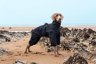 Водонепроникний комплект для собак BT Bear: жилет, дощовик, жилетка, для середніх та великих собак, розмір 6XL, чорний