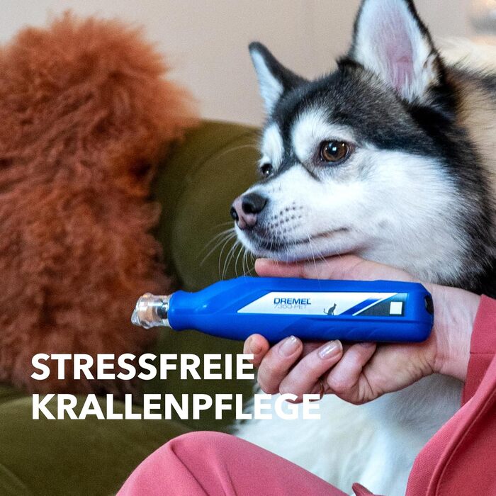 Dremel 7350: Шліфувальник для кігтів домашніх тварин (собаки, коти) з акумулятором 3.6V, USB-кабель, 2 насадки