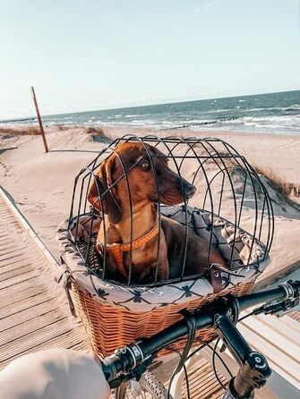 Ретро кошик для велосипеда з кришкою, плетіння з лози, переноска для тварин з підкладкою з тканини