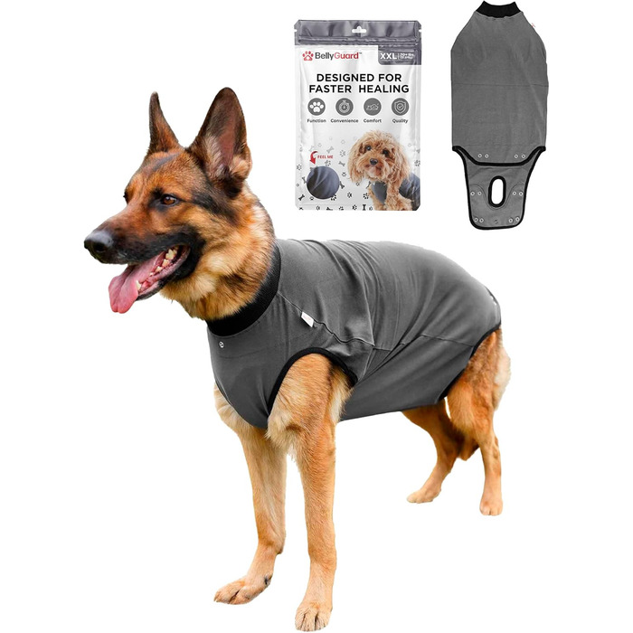 Захисний боді для собак після операції (кастрація/стерилізація), альтернатива нашийнику, сірий, 2XL