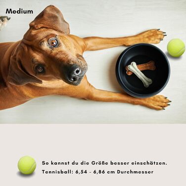 Керамічна годівниця для собак від hej.mo | 16 см діаметр, 0.9 л об'єм | Міцна, миється в посудомийній машині, стійка до подряпин та укусів | Для маленьких та середніх собак (Чорна)