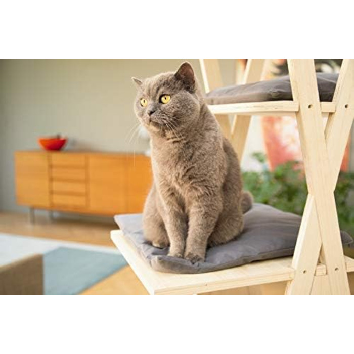 Дряпка для котів Beeztees Mirza, дерево, 60x40x13 см, 300 г