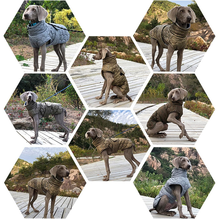 Зимовий одяг для собак середніх розмірів: тепла куртка з флісовою підкладкою, відбивачі та регульована посадка, зелена, розмір M