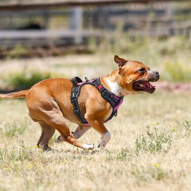 Шлейка для собак PoyPet, проти витягування, не викликає нудоту, світловідбиваюча, з 2 карабінами, регульована, м'яка, з контролем, для собак малих та великих порід (Рожева, L)