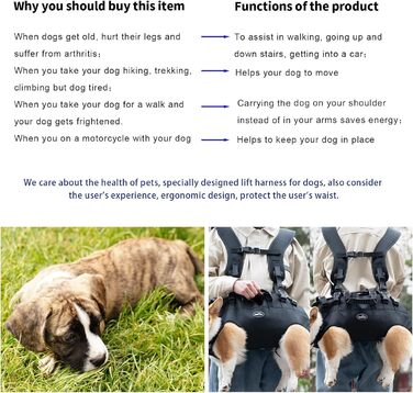 Сумка-переноска та повідковий ремінь для собак, Wakytu, для маленьких собак (4-8 кг), чорний, регульовані, дихаючі ремені