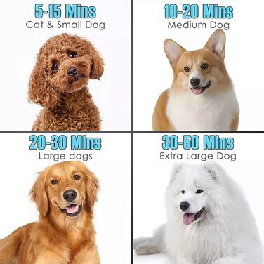 Професійний фен для собак 2800W, регульована швидкість та температура, сушарка для тварин з 4 насадками (чорний)