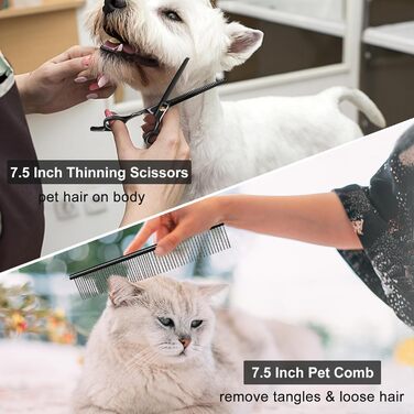 Набір професійних ножиць для грумінгу собак CIICII 10-в-1 з безпечними закругленими кінцями (для собак, котів, тварин). Підходить для стрижки, прорізування та формування шерсті. Срібно-чорний колір.